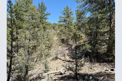 176 Arnold Drive, Cotopaxi, CO 81223 - Photo 14