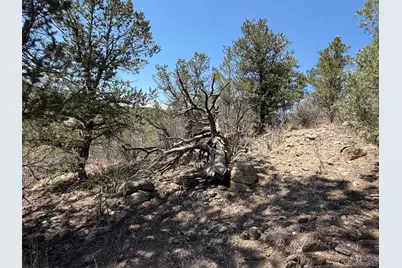 176 Arnold Drive, Cotopaxi, CO 81223 - Photo 40