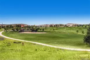 10653 Chadsworth Ln, Highlands Ranch, CO 80126 - Photo 46
