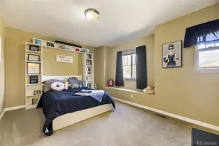 10653 Chadsworth Ln, Highlands Ranch, CO 80126 - Photo 26