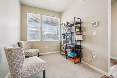 3774 Beech Tree Street, Wellington, CO 80549 - Photo 10