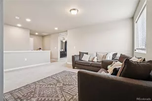 3774 Beech Tree St, Wellington, CO 80549 - Photo 20