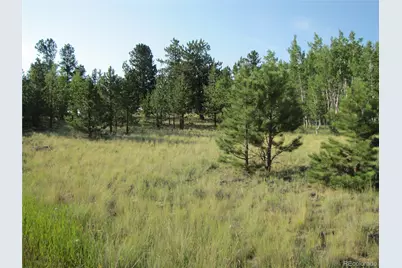 9798 Ranch Road, Hartsel, CO 80449 - Photo 20