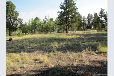 9798 Ranch Road, Hartsel, CO 80449 - Photo 12