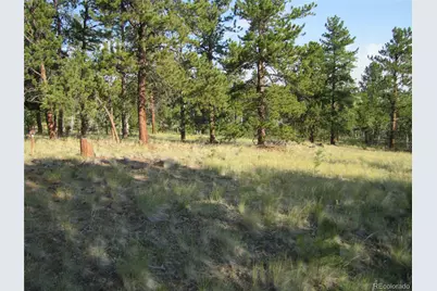 9798 Ranch Road, Hartsel, CO 80449 - Photo 10