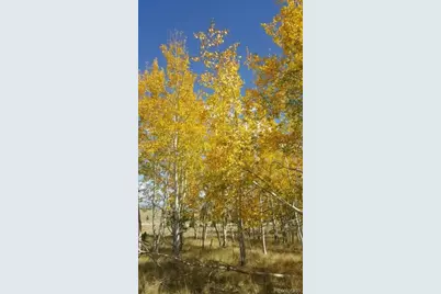 9798 Ranch Road, Hartsel, CO 80449 - Photo 22