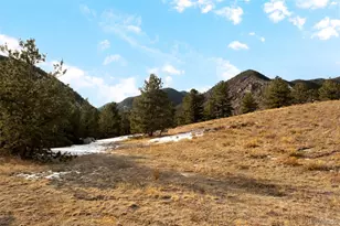 258 E Mountain Ave, Empire, CO 80438 - Photo 22