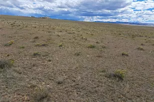 1294 Clear Creek Rd, Hartsel, CO 80449 - Photo 1