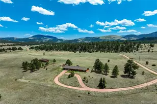 994 Deer Ln, Guffey, CO 80820 - Photo 4