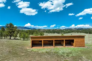994 Deer Ln, Guffey, CO 80820 - Photo 6