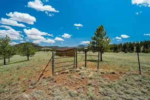 994 Deer Ln, Guffey, CO 80820 - Photo 38