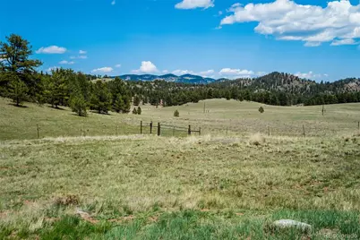 994 Deer Lane, Guffey, CO 80820 - Photo 44