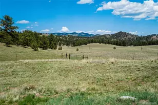 994 Deer Ln, Guffey, CO 80820 - Photo 44