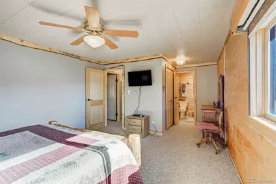 994 Deer Lane, Guffey, CO 80820 - Photo 22