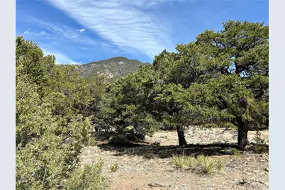 3545 Fallen Tree Place, Crestone, CO 81131 - Photo 2