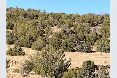 Lot 537 Rio Cucharas, Walsenburg, CO 81089 - Photo 12