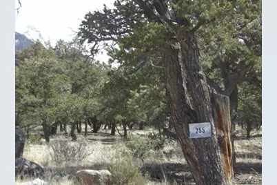 255 Baca Grant Way, Crestone, CO 81131 - Photo 2