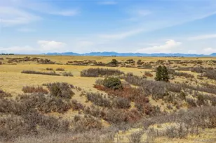 4347 N Crowfoot Valley Rd, Castle Rock, CO 80108 - Photo 44