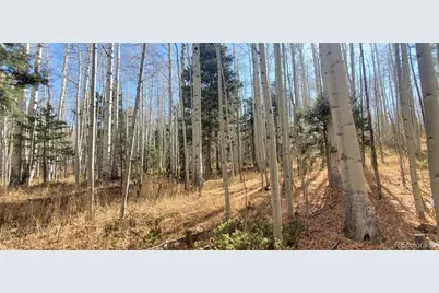 Lot 6060 Forbes Road, San Luis, CO 81152 - Photo 6