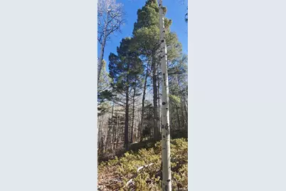 Lot 6060 Forbes Road, San Luis, CO 81152 - Photo 14