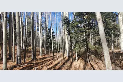 Lot 6060 Forbes Road, San Luis, CO 81152 - Photo 4