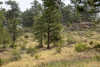 13990 Pine Valley Road, Pine, CO 80470 - Photo 20