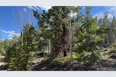 005 Church Placer Road, Central City, CO 80427 - Photo 2