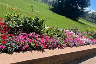 610 S Clinton St, Denver, CO 80247 - Photo 14