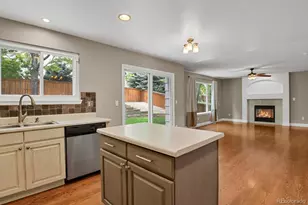 10037 Darwin Ln, Highlands Ranch, CO 80130 - Photo 12