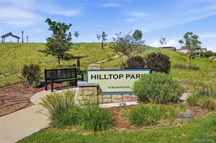 27806 E Alder Dr, Aurora, CO 80016 - Photo 36