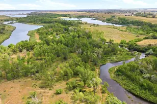 8565 Butte Crk St, Littleton, CO 80125 - Photo 44