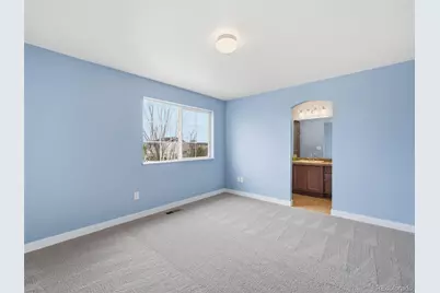 20641 Randolph Place, Denver, CO 80249 - Photo 20