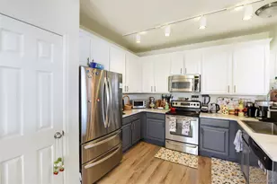 431 Black Feather Loop, Castle Rock, CO 80104 - Photo 6