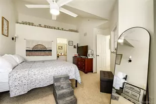 431 Black Feather Loop, Castle Rock, CO 80104 - Photo 22
