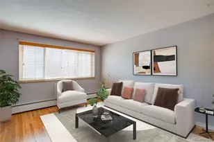 925 E 8th Ave, Denver, CO 80218 - Photo 10