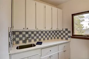 30481 National Forest Dr, Buena Vista, CO 81211 - Photo 20