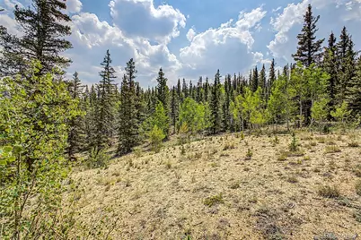 360 Palomino Drive, Jefferson, CO 80456 - Photo 8