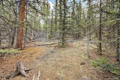 360 Palomino Drive, Jefferson, CO 80456 - Photo 10