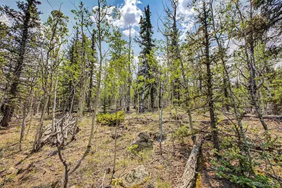 360 Palomino Drive, Jefferson, CO 80456 - Photo 12