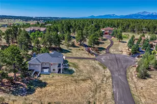 19053 Malmsbury Ct, Monument, CO 80132 - Photo 4
