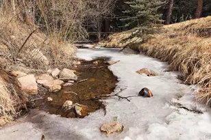 7266 S Brook Forest Rd, Evergreen, CO 80439 - Photo 38