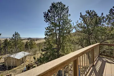 447 Blacksmith Road, Hartsel, CO 80449 - Photo 38