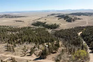 447 Blacksmith Rd, Hartsel, CO 80449 - Photo 48