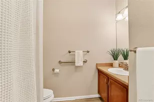 10841 Twenty Mile Road, Parker, CO 80134 - Photo 28