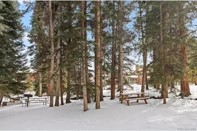 120 Sawmill Road #205, Breckenridge, CO 80424 - Photo 34