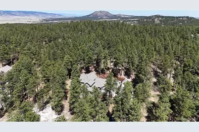 1767 Cinnamon Road, Larkspur, CO 80118 - Photo 2