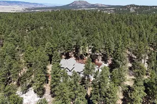 1767 Cinnamon Rd, Larkspur, CO 80118 - Photo 2