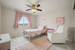 4451 McMurdo Ct, Castle Rock, CO 80108 - Photo 32