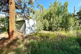 1705 Mount Lincoln Dr W, Leadville, CO 80461 - Photo 14