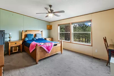 1703 Arapahoe Drive, Florissant, CO 80816 - Photo 22